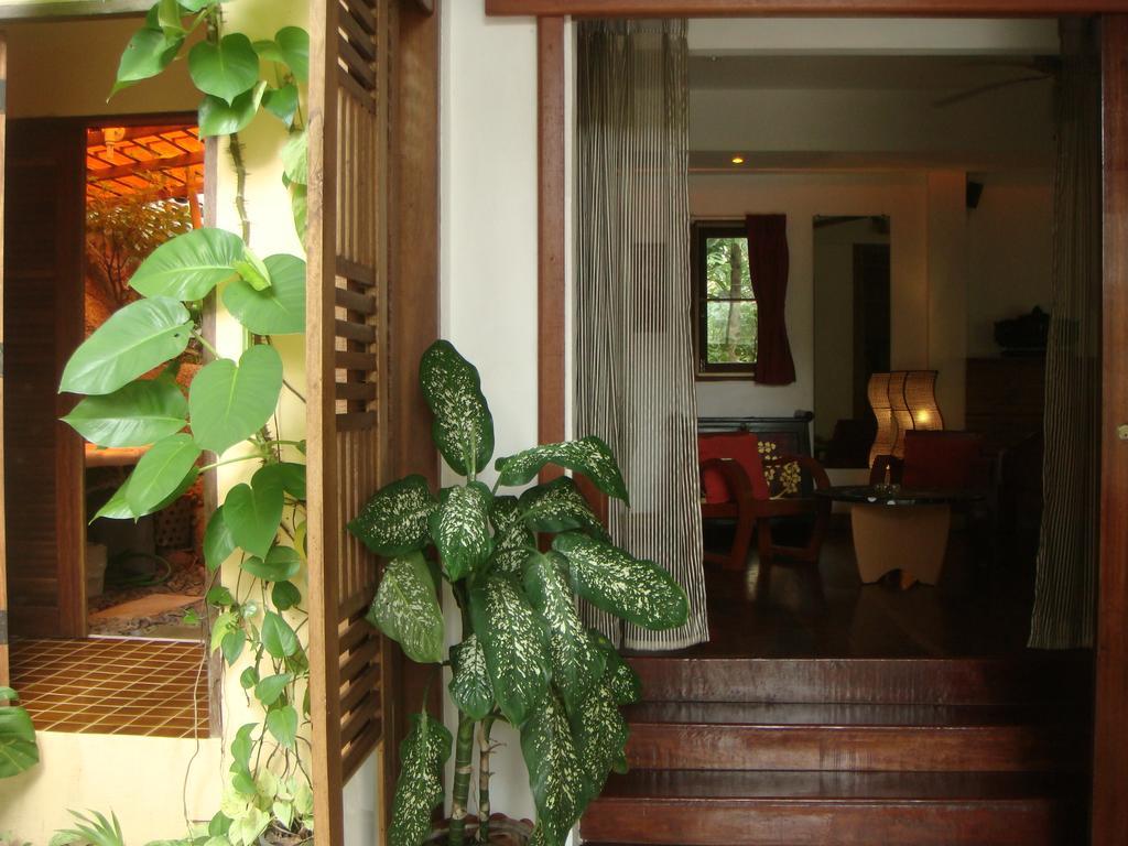 Bed and Breakfast La Cigale Ko Tao Zimmer foto